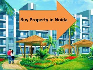 buy property in noida