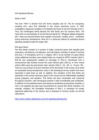 Wnt Signaling Pathway