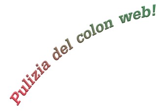 Puliziadelcolonweb.com