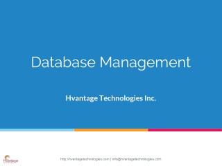 HTI Database Management