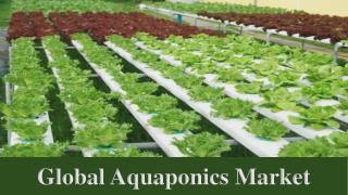 Global Aquaponics Market