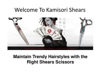 Maintain Trendy Hairstyles with the Right Shears Scissors