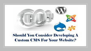 Should You Consider Developing A Custom CMS For Your Website?