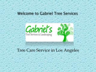 Tree Service in Sacramento and Landscape Design Los Angeles presented by gabrieltreeservices.com