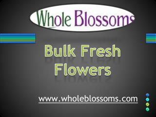 Bulk Fresh Flowers - www.wholeblossoms.com