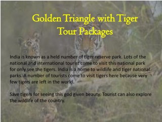 Golden Triangle with Tiger Tour Packages
