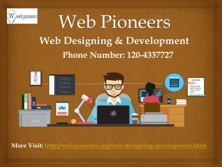 Website Development Company in Delhi NCR