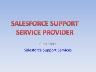 Janbask as a Salesforce Support Service Provider