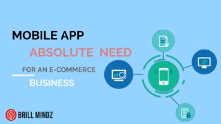 Need for Application Development