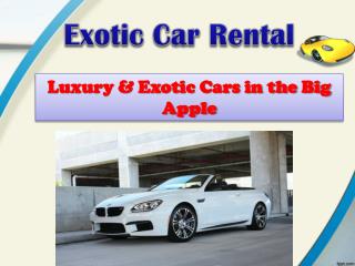 Exotic Car Rental New York