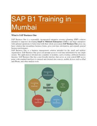 SAP B1 Training in Mumbai