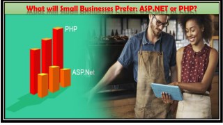What will Small Businesses Prefer: ASP.NET or PHP?