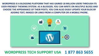 Wordpress Technical Support USA