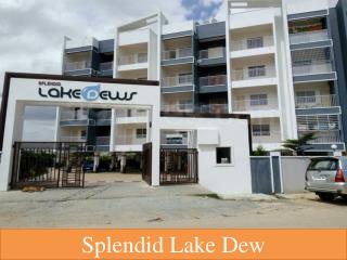 splendid lake dew review