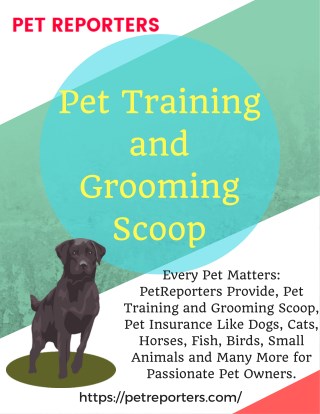 Pet Training and Grooming Scoop