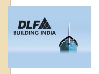 Dlf Builder and Its Projects