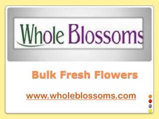 Bulk Flowers Online- www.wholeblossoms.com