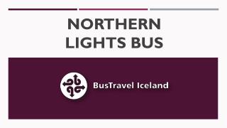 Northern Lights Bus