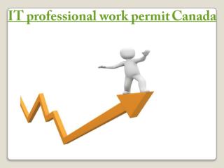 IT professional work permit canada