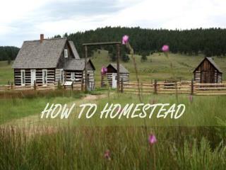 Homesteading