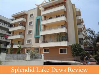 Splendid Lakedews Reviews