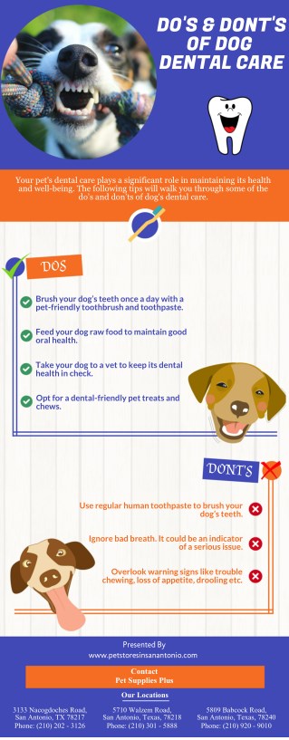 Do’s & Dont’s Of Dog Dental Care