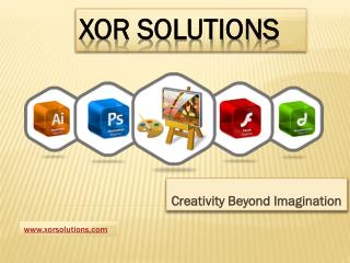 Web designing Company in USA