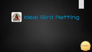 Ideal Bird Netting is best bird control service provider in Pune