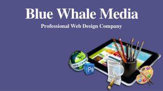 Professional Web Design Company - Blue Whale Media