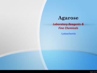 Laboratory Reagents & Fine Chemicals-Agarose