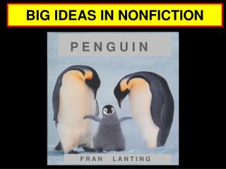 Visual Literacy Lesson: Penguin Slides