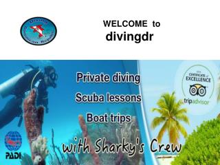 Diving courses Bayahibe