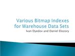 Various Bitmap Indexes for Warehouse Data Sets