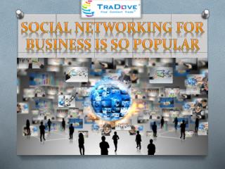 Social Networking For Business Is So Popular