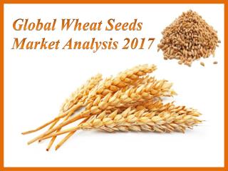 Global Wheat Seeds Market Analysis 2017