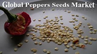 Global Peppers Seeds Market