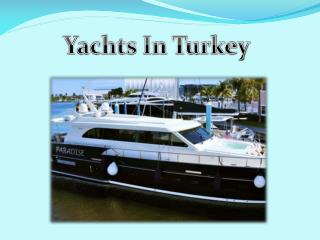 gulet yacht charter