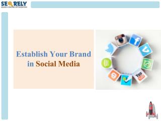 Social Media Optimization(SMO) Packages - Establish Your Digital Brand - Seorely