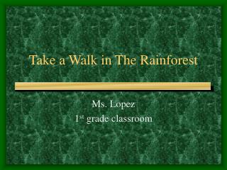 Take a Walk in The Rainforest