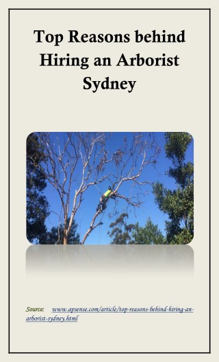 Top Reasons behind Hiring an Arborist Sydney