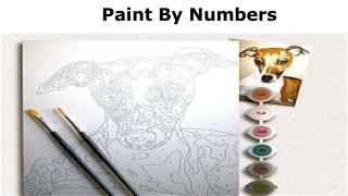 Paint By Numbers