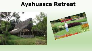 Ayahuasca Retreat