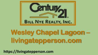 Wesley Chapel Lagoon - livingatepperson.com
