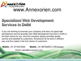Specialized Web Development Services in Delhi