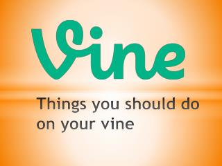 Things You Should Do On Your Vine