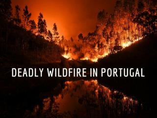 Deadly wildfire in Portugal
