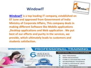 Windowit - Six month industrial training