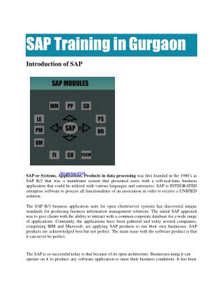 SAP Training in Gurgaon