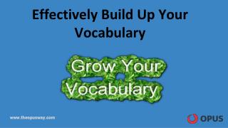 Effectively Build up Your Vocabulary