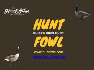 Guided Duck Hunts
